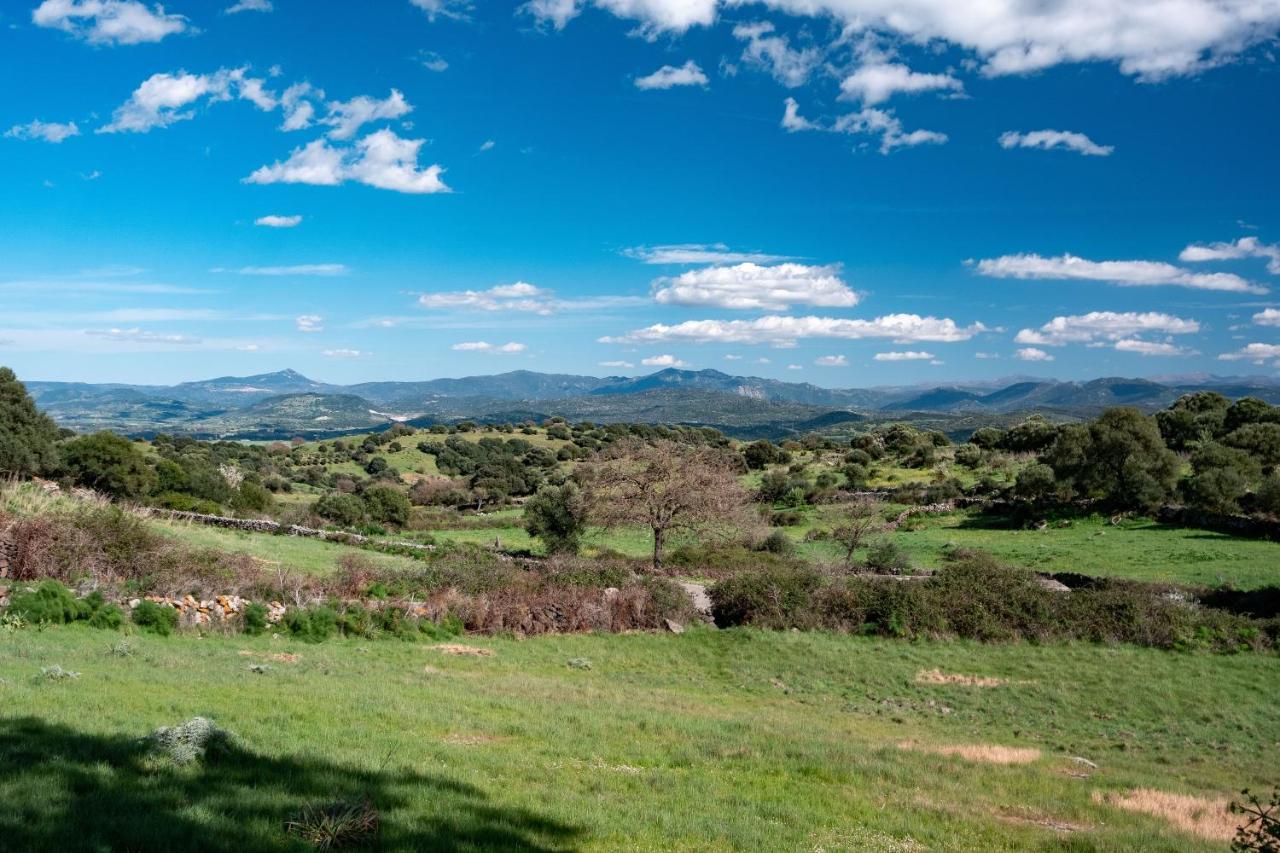 Binzas Betzas Agriturismo Sedilo Ngoại thất bức ảnh