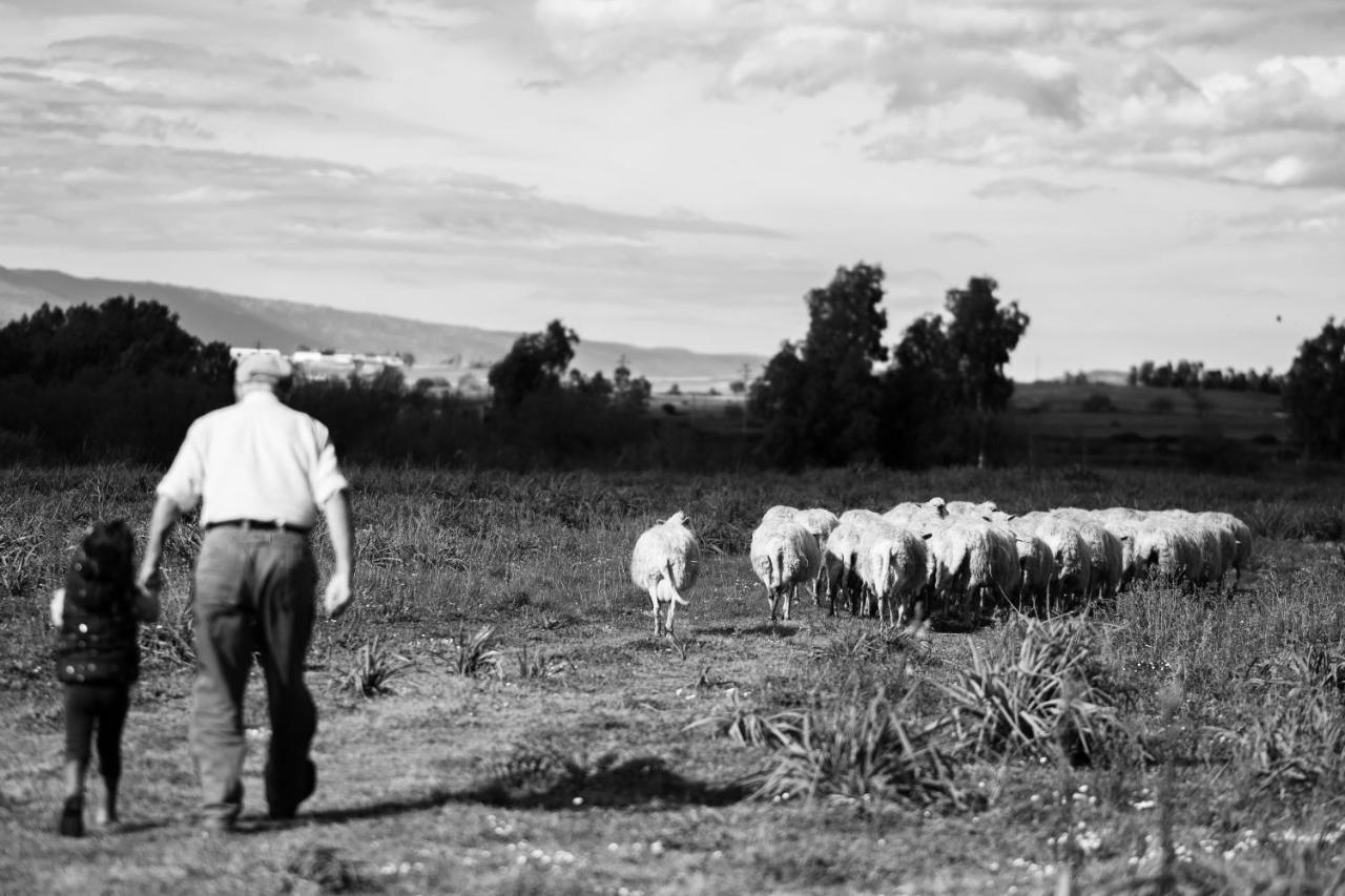 Binzas Betzas Agriturismo Sedilo Ngoại thất bức ảnh