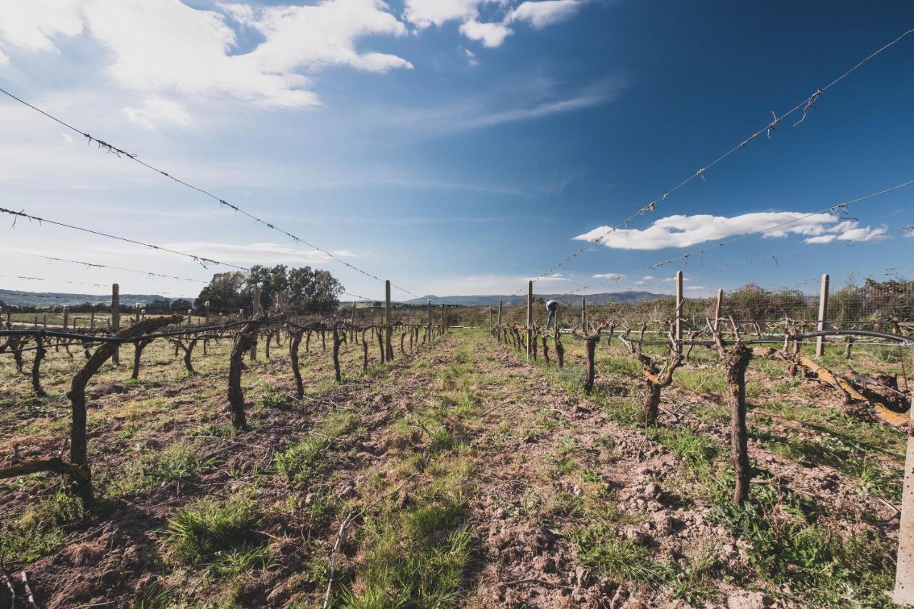 Binzas Betzas Agriturismo Sedilo Ngoại thất bức ảnh